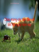 Bài giảng điện tử tham khảo sinh học lớp 9 bài 1 men đen và di truyền học (7) 