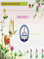 Bài giảng sinh học 9 tham khảo bồi dưỡng bài 2 lai một cặp tính trạng (6) 