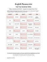 make a sentence with svopt subject verb object place time 1