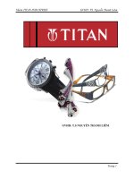 phân tích sứ mệnh, viễn cảnh của công ty titan industries