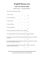 whats the point punctuation practice 1 eg36 