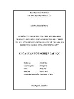 Nghiên cứu ảnh hưởng của chất kích thích sinh trưởng GA3 và phân bón lá đến sinh trưởng, phát triển của hoa đồng tiền lùn trồng chậu vụ thu năm 2014 tại trường đại học nông lâm thái nguyên