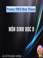 Bài giảng điện tử tham khảo sinh học lớp 9 bài 1 men đen và di truyền học (2) 