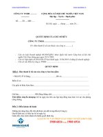 QUYẾT ĐỊNH của CHỦ sở hữu CÔNG TY TNHH 