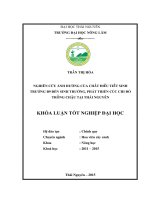 Nghiên cứu ảnh hưởng của chất điều tiết sinh trưởng b9 đến sinh trưởng, phát triển cúc chi đỏ trồng chậu tại thái nguyên