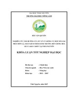 Nghiên cứu ảnh hưởng của xử lý củ giống và một số loại phân bón lá, chất kích thích sinh trưởng đến giống hoa lily lake carey tại thái nguyên