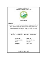 Nghiên cứu ảnh hưởng của một số loại phân bón lá đến sinh trưởng, phát triển hoa đồng tiền lùn (gerbera jamesonii bol) trồng chậu tại thái nguyên