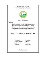 Nghiên cứu ảnh hưởng của giá thể trồng đến sinh trưởng và phát triển của hoa cúc lá nho tại thành phố thái nguyên vụ đông   xuân 2014   2015