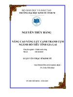 Luận văn thạc sĩ  2015 nâng cao năng lực cạnh tranh cụm ngành hồ tiêu tỉnh gia lai 