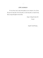 Luận văn thạc sĩ các nhân tố ảnh hưởng đến tiến độ hoàn thành dự án đầu tư xây dựng cơ bản sử dụng vốn ngân sách nhà nước trường hợp tỉnh vĩnh long 