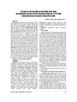 TÁC DỤNG ức CHẾ vận ĐỘNG và ẢNH HƯỞNG HUYẾT ĐỘNG của MAGNEIUM SULPHATE TRUYỀN TĨNH MẠCH gây tê tủy SỐNG BẰNG BUPIVACAIN và FENTANYL TRONG mổ CHI dưới