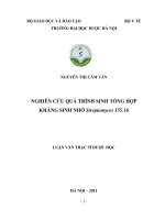 Nghiên cứu quá trình sinh tổng hợp kháng sinh nhờ streptomyces 155  16