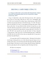 báo cáo tổng đài axe công ty cổ phần dịch vụ bưu chính viễn thông sài gòn ( SPT )