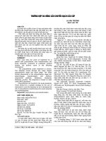 TRƯỜNG hợp đa HỒNG cầu CHUYỂN BẠCH cầu gấp