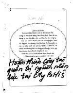 Hoàn thiện công tác quản trị nguồn nhân lực tại công ty bitis