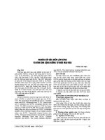 NGHIÊN cứu đặc điểm lâm SÀNG và HÌNH ẢNH CỘNG HƯỞNG từ NHỒI máu não