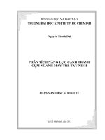 Luận văn thạc sĩ phân tích năng lực cạnh tranh cụm ngành mây tre tây ninh 