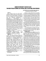 NGHIÊN cứu hỗn hợp VI SINH vật kị KHÍ THƯ NHẬN từ DỊCH rỉ ĐƯỜNG SAU lên MEN (CMS) có KHẢ NĂNG SINH HYDROGEN