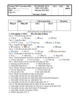 ĐỀ THI HỌC KÌ II MÔN TIN LỚP 6 Năm học 20142015