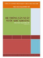 Hệ thống sản xuất nước khử khoáng nhà máy đạm phú mỹ