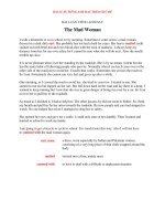 BÀI LUẬN TIẾNG ANH HAY   the mad woman 