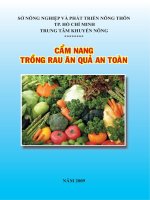 Kỹ thuật hướng dẫn trồng rau an toàn