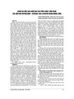 ĐÁNH GIÁ HIỆU QUẢ GIẢM ĐAU SAU PHẪU THUẬT LỒNG NGỰC của hỗn hợp BUPIVACAINE  FENTANYL QUA CATHETER NGOÀI MÀNG CỨNG