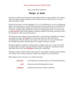 BÀI LUẬN TIẾNG ANH HAY   danger at home 