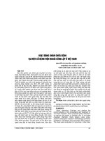 HOẠT ĐỘNG KHÁM CHỮA BỆNH tại một số BỆNH VIỆN NGOÀI CÔNG lập ở VIỆT NAM