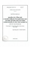 Nghiên cứu tổng hợp và sơ bộ thăm dò tác dụng sinh học của một số dẫn chất sulfamid kháng khuẩn có cấu trúc azomentin