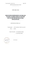Nghiên cứu mức độ nhiễm nấm mốc và khả năng sinh aflatoxin b1 của nhóm aspergillus flavus trên một số vị thuốc đông dược trên địa bàn hà nộ