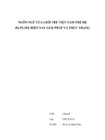 NGÔN NGỮ CỦA GIỚI TRẺ VIỆT NAM THẾ HỆ 8X,9X,10X HIỆN NAY GIẢI PHÁP VÀ THỰC TRẠNG