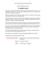 BÀI LUẬN TIẾNG ANH HAY   a painful lesson 