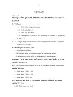 Hoàn thiện công tác kế toán bán hàng và xác định kết quả kinh doanh tại công ty cổ phần phân phối máu tính VIETPC  chi nhánh thanh hóa