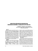 NGHIÊN cứu đặc điểm HÌNH ẢNH hẹp ĐỘNG MẠCH VÀNH ở BỆNH NHÂN đái THÁO ĐƯỜNG TYP 2 BẰNG CHỤP cắt lớp VI TÍNH 64 dây