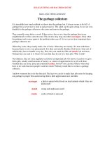 BÀI LUẬN TIẾNG ANH HAY   the garbage collectors 