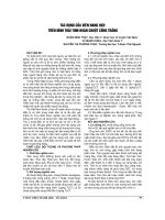 TÁC DỤNG của VIÊN NANG HXH TRÊN HÌNH THÁI TINH HOÀN CHUỘT CỐNG TRẮNG