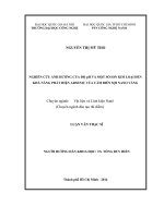 Nghiên cứu ảnh hưởng của độ ph và một số ion kim loại đến khả năng phát hiện arsenic của cảm biến sợi nano vàng