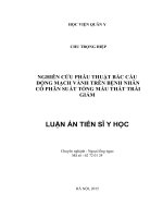Nghiên cứu phẫu thuật bắc cầu động mạch vành trên bệnh nhân có phân suất tống máu thất trái giảm