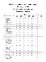 4 BẢNG cân đối NGUYÊN PHỤ LIỆU 