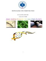 Đặc điểm phage t4 và ứng dụng