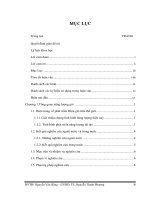 Điều khiển máy phát không đồng bộ nguồn kép trong hệ thống phong điện