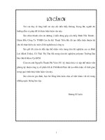 Nghiên cứu chế tạo cao su mặt lốp trên cơ sở nanocomposite