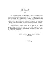 Kỹ thuật điều khiển VECTOR cho bộ nghịch lưu áp đa bậc