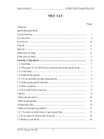 Bảo vệ chống xung quá độ trong mạng hạ áp luận văn thạc sĩ ngành kỹ thuật điện