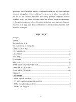Nghiên cứu xây dựng quy trình kiểm tra mối hàn giáp mối ống sử dụng phương pháp siêu âm tổ hợp pha tại việt nam