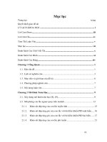 Điều khiển con lắc ngược sử dụng mạng NEURAL trên CHIP DSP