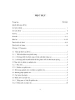 Xây dựng mô hình đèn huỳnh quang và ballast điện tử họat động ở tần số cao