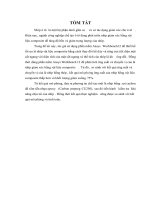 Nghiên cứu phát triển nhíp giảm xóc (leaf spring) bằng vật liệu composite