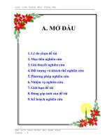 Phát triển chương trình đào tạo ngành công nghệ thông tin trình độ đại học theo học chế tín chỉ tại trường đại học tây đô